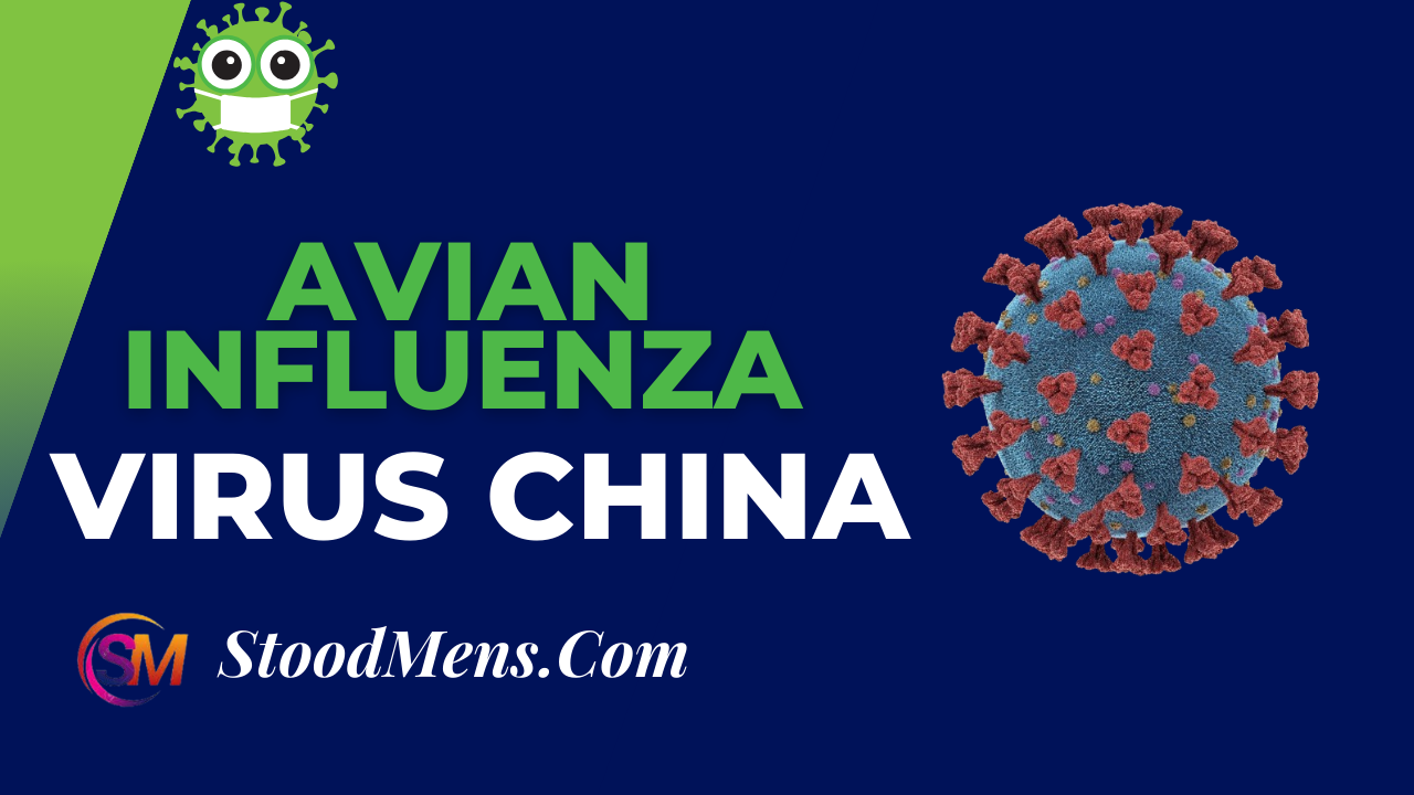 Avian Influenza Virus China