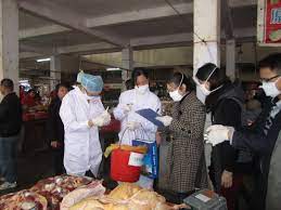 avian influenza virus china