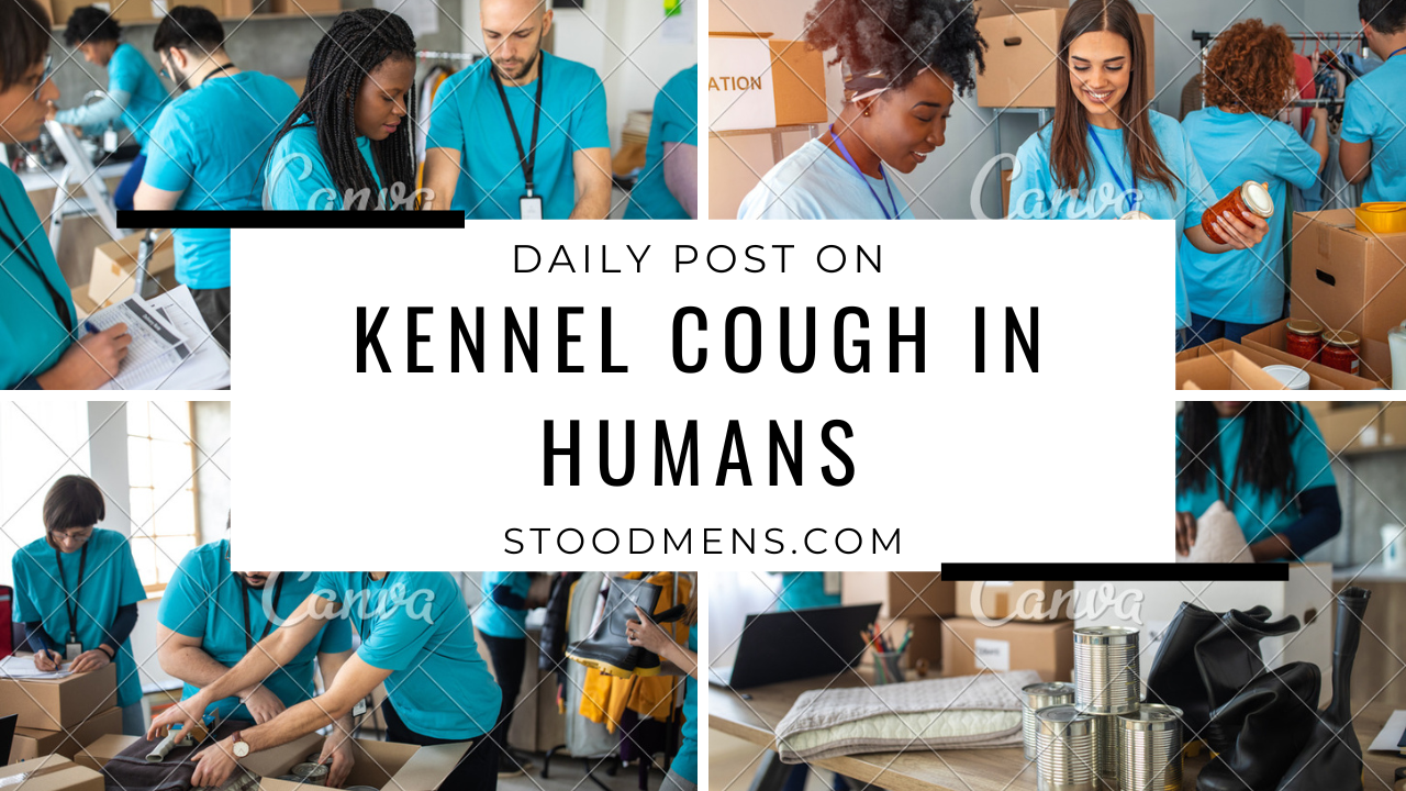 kennel cough in humans